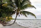 Placencia Belze Feb 2022